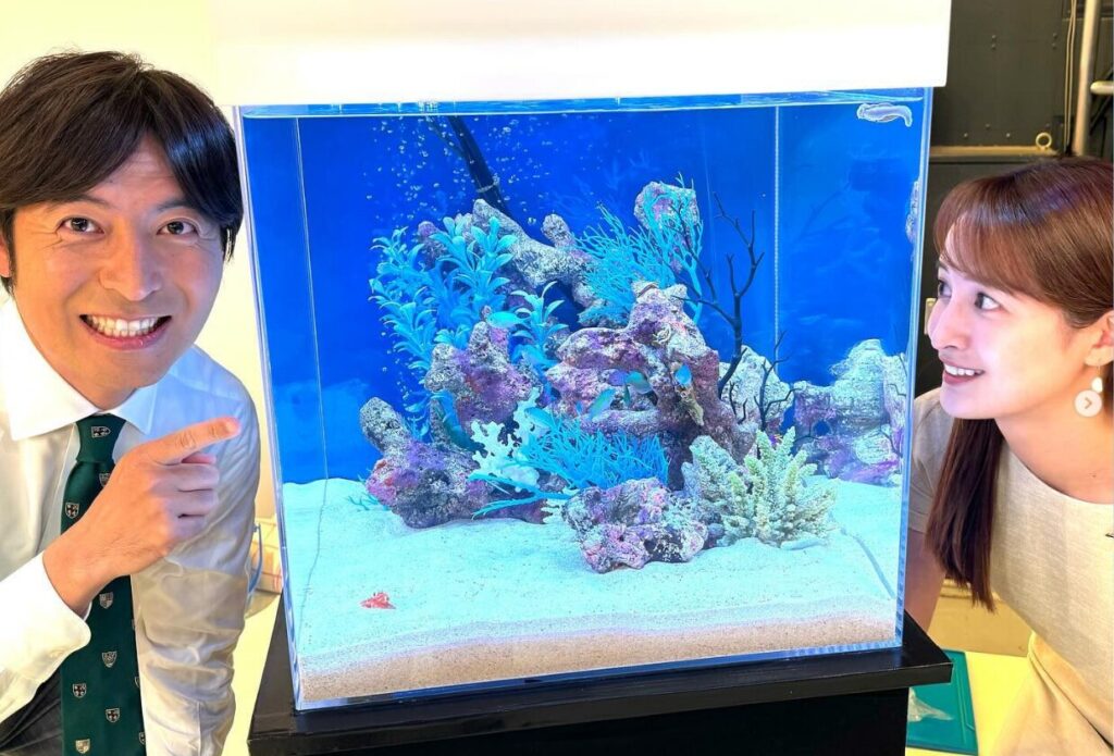 水槽　女子アナと桝太一