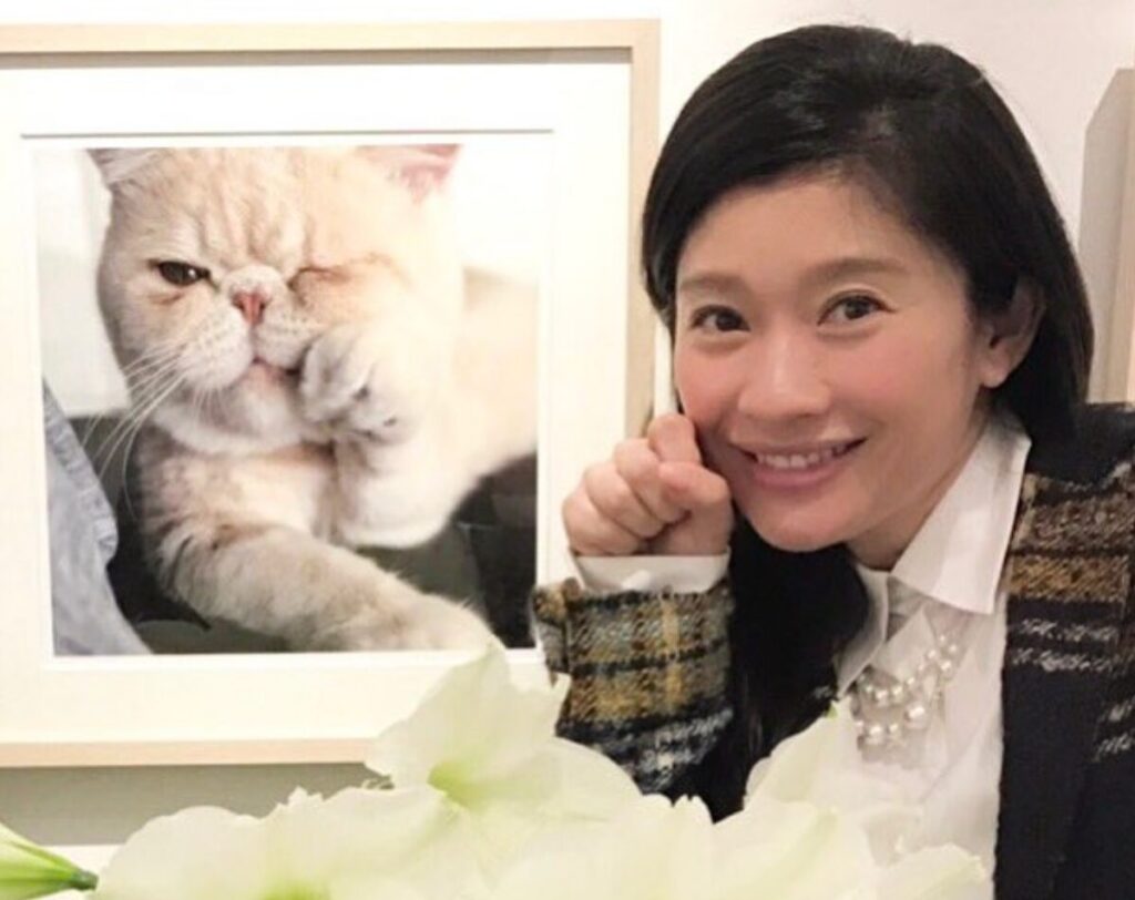 篠原涼子 猫