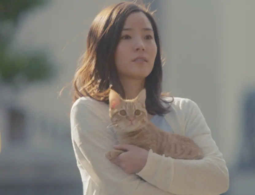 ブランケット　キャッツ